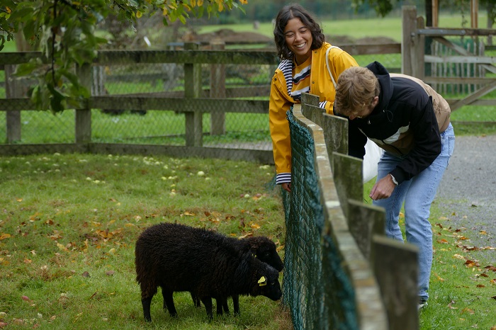 musee-bintinais-rennes