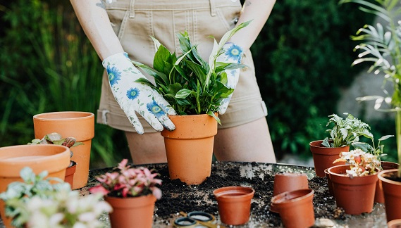 vente-speciale-jardinage-sports-de-glisse